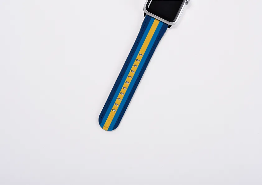 Apple Watch Strap- New York Chroma Stripe