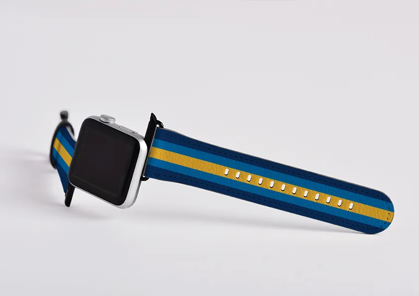 Apple Watch Strap- New York Chroma Stripe