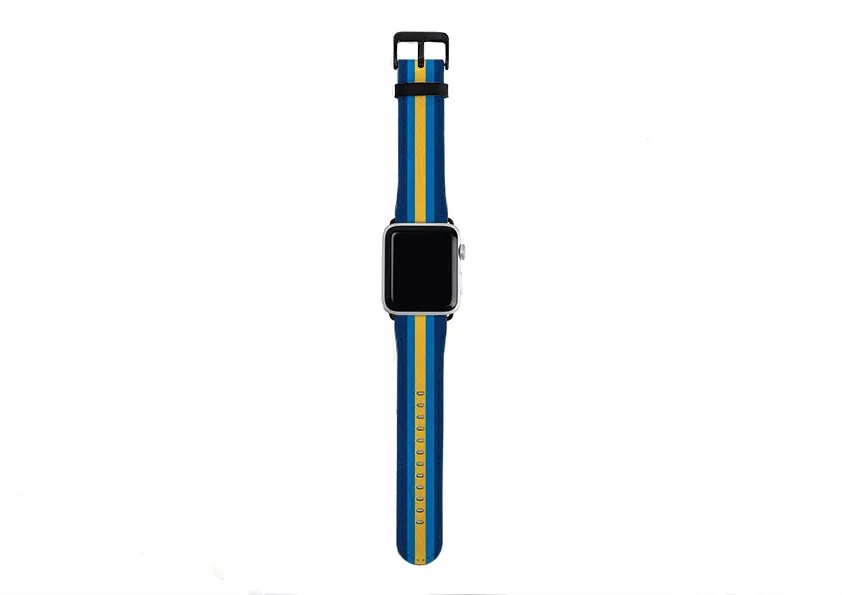 Apple Watch Strap- New York Chroma Stripe