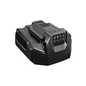 CH2100 EGO 56V 210W Charger