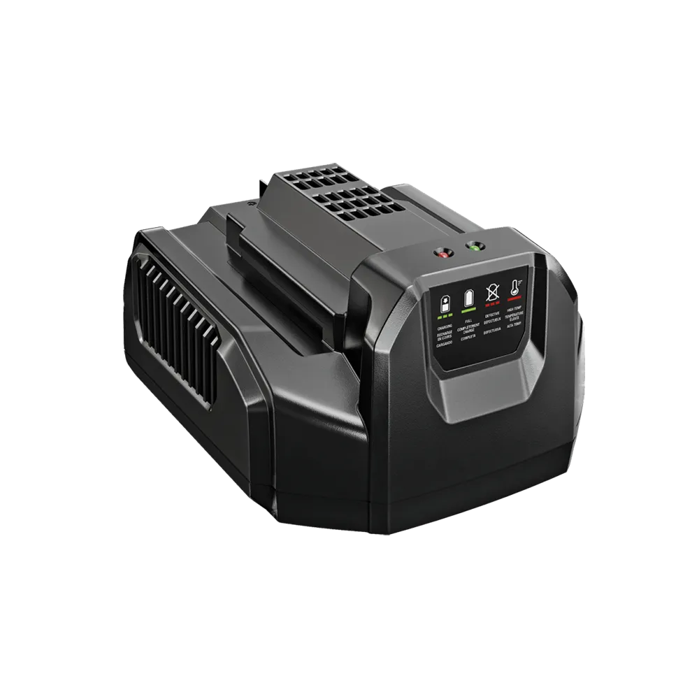 CH2100 EGO 56V 210W Charger