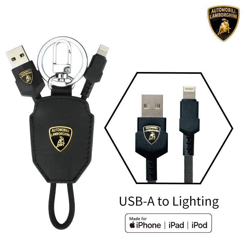 Lamborghini Premium Charging Cable - Aventador D10