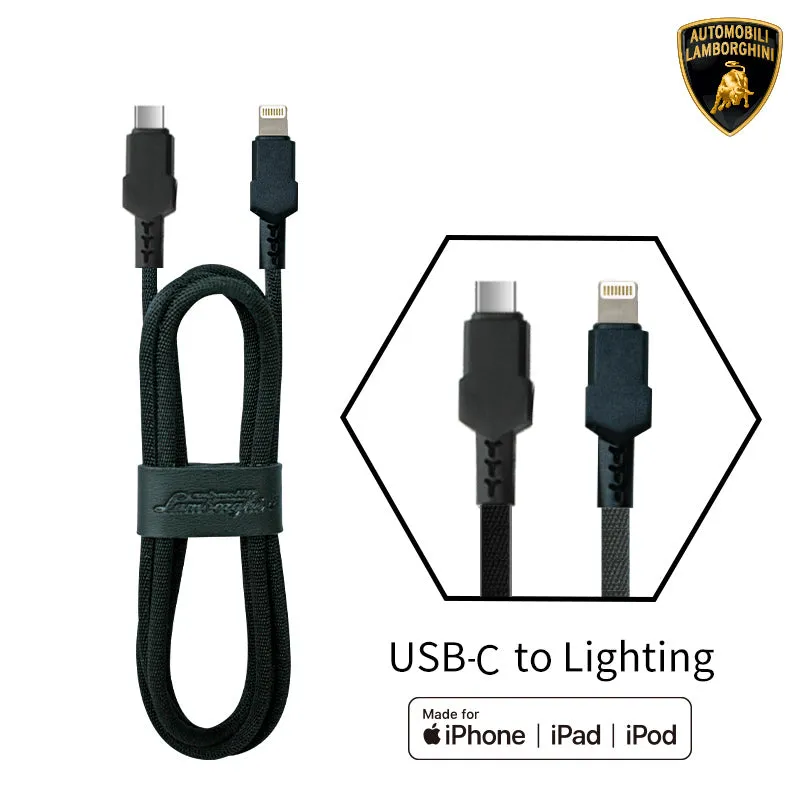 Lamborghini Premium Charging Cable - Aventador D10