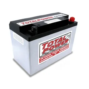 Total Power Battery AGM Battery 12V 1500 Cranking Amps Top Post Screw" Terminals - 9.875" L x 6.875" H x 5.25" W