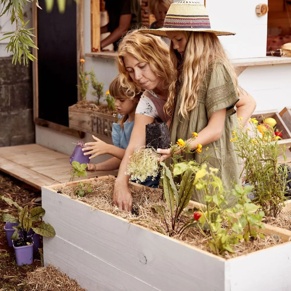 Wooden Garden Planter Boxes